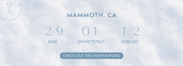Check out the Snow Reports