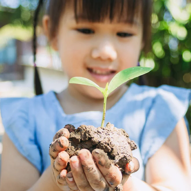 Read More | Naturepedic Blog
