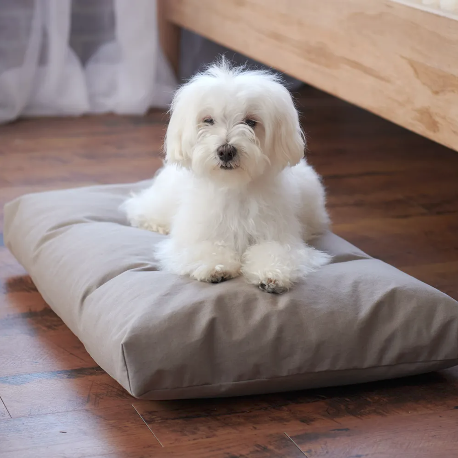Shop Now | Naturepedic Organic Pet Bed with Washable Waterproof Cover