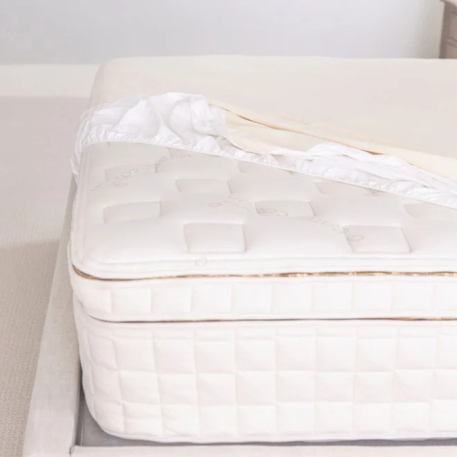 Shop Now | Protector Pads