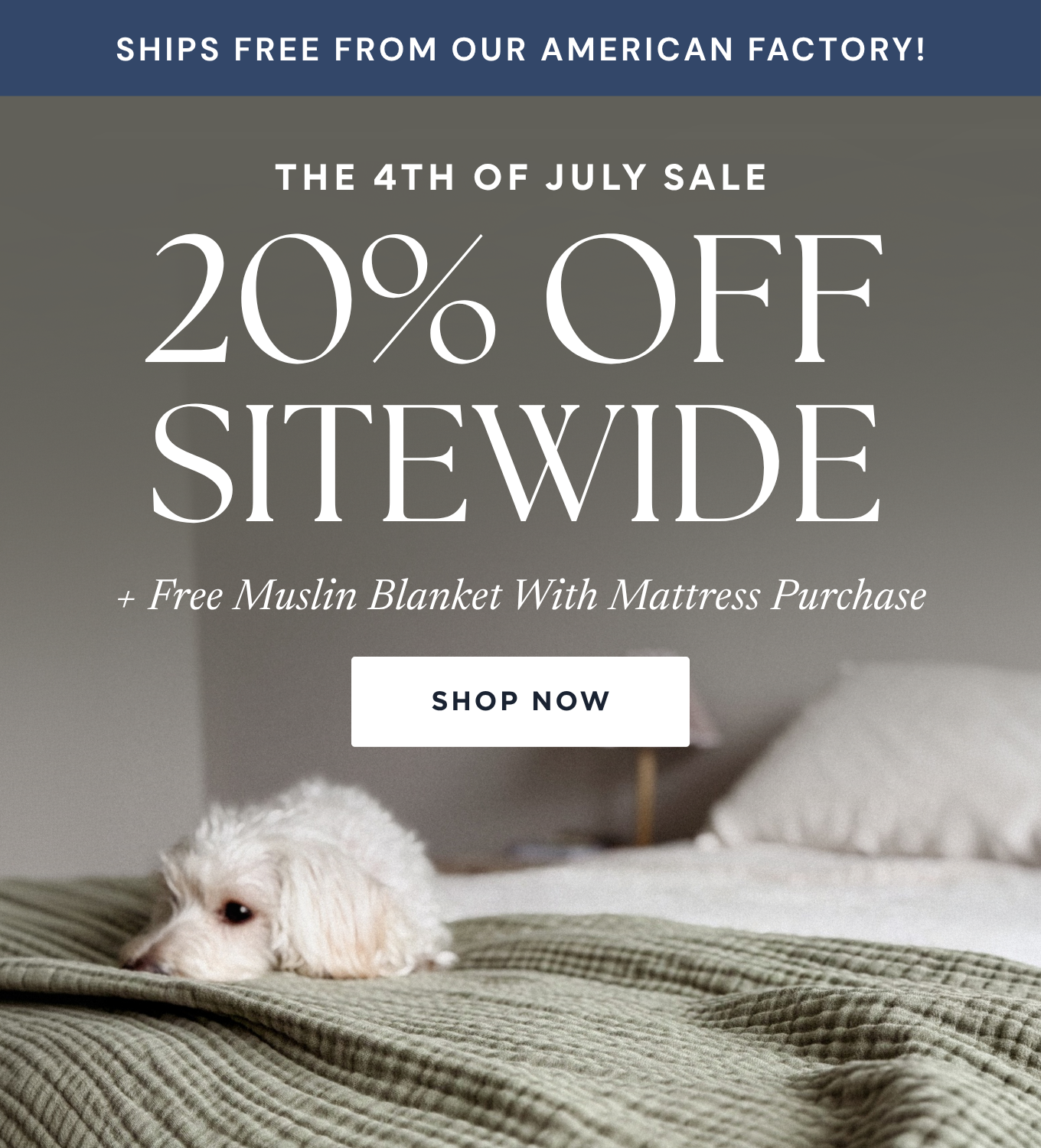 20% off sitewide