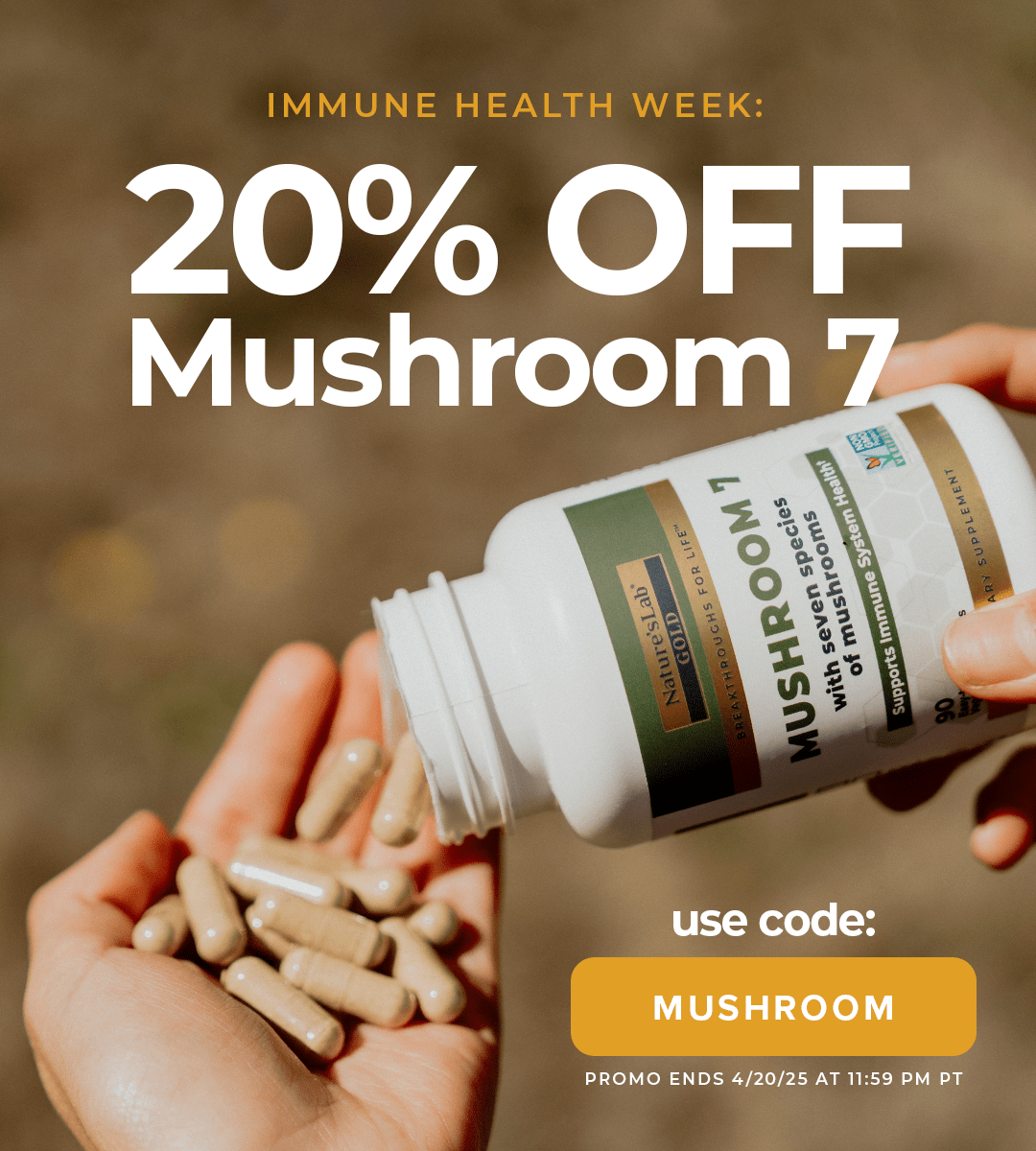 Mushroom 7
