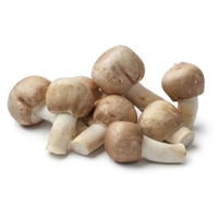 Himematsutake