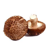 Shiitake