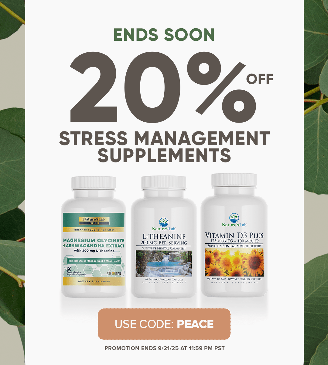 Stress Management Supplements