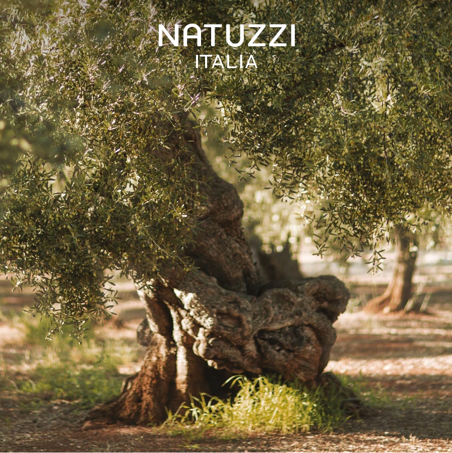 Creating, firmly rooted in our land.