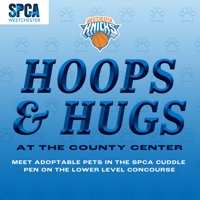 Westchester Knicks x SPCA