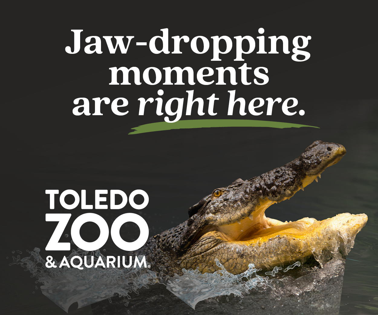 Toledo Zoo