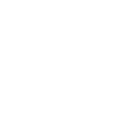 Toronto Raptors