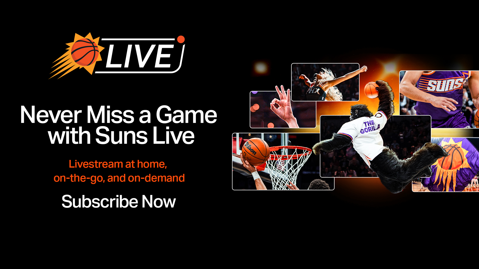 Suns Live