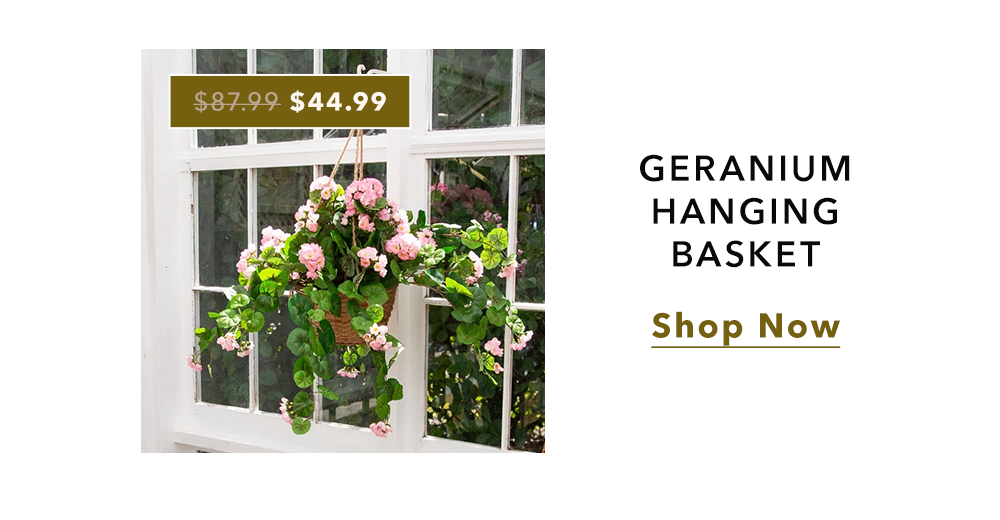 Geranium Hanging Set | Shop Now Geranium Hanging Set | Shop Now