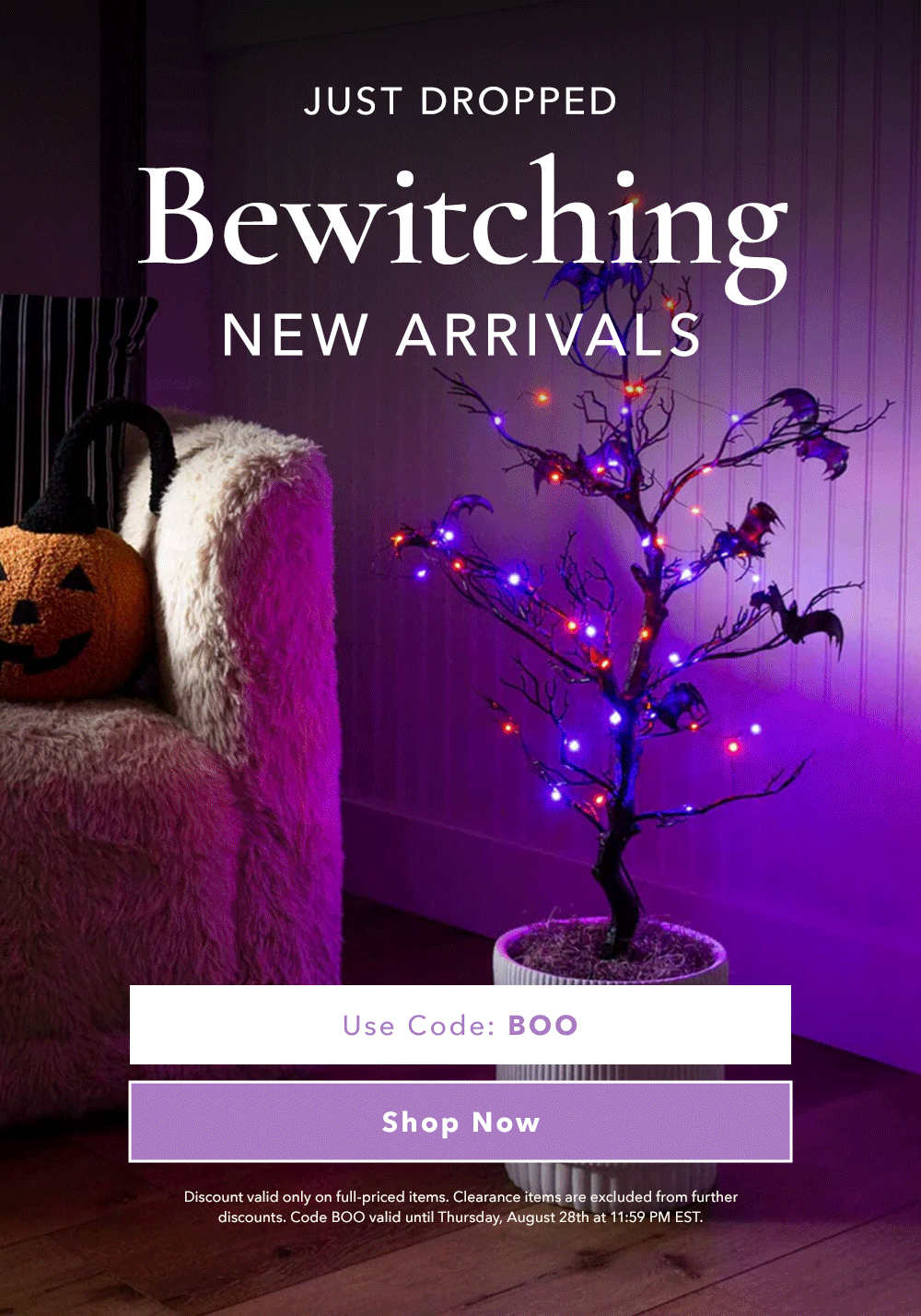 Bewitching New Arrivals - Shop Now