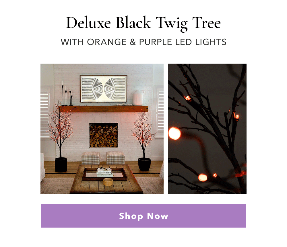 Deluxe Black Twig Tree - Shop Now