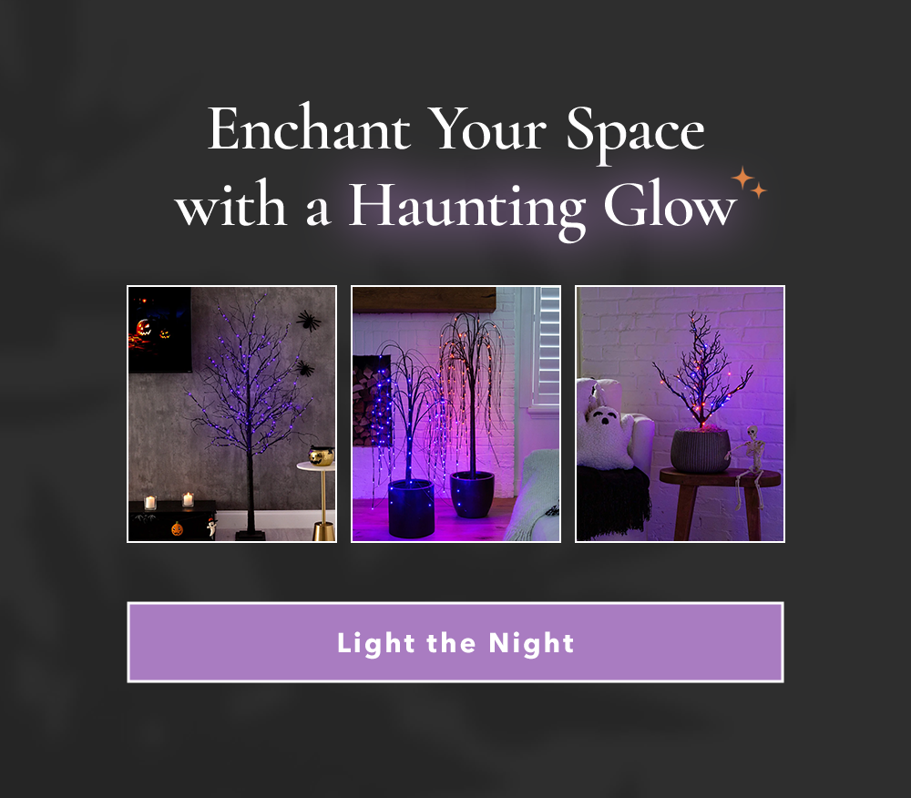 Enchant Your Space with a Haunting Glow - Light the Night