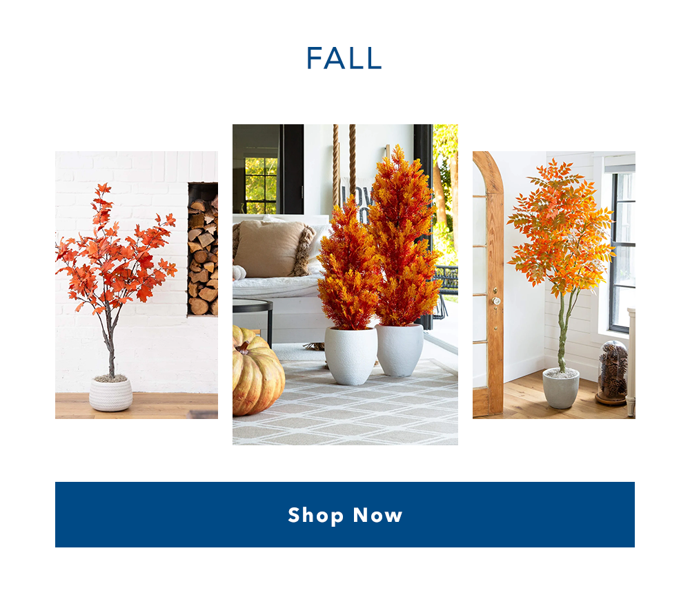 Fall | Shop Now