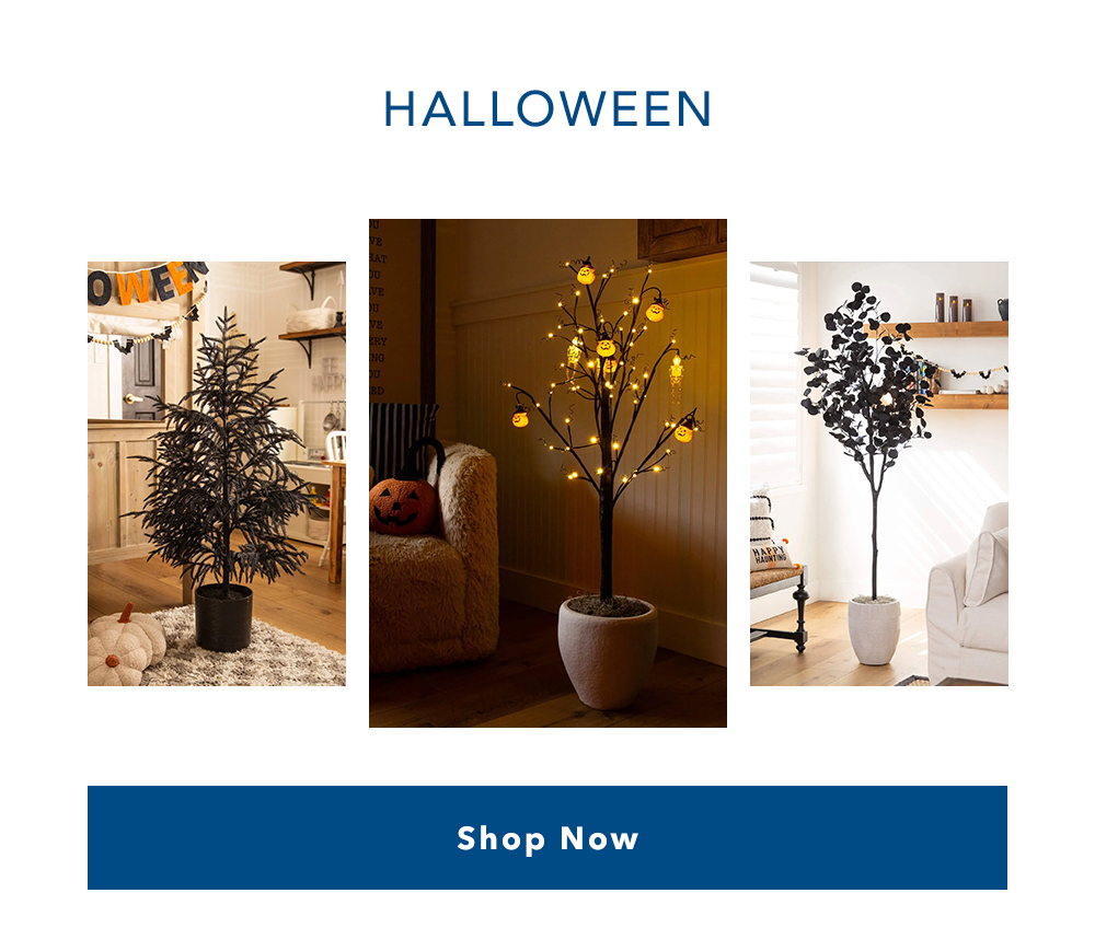 Halloween | Shop Now
