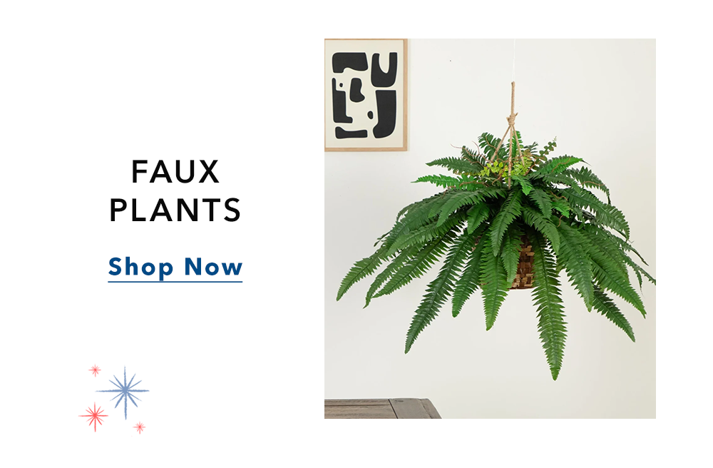 FAUX PLANTS - Shop Now FAUX PLANTS - Shop Now