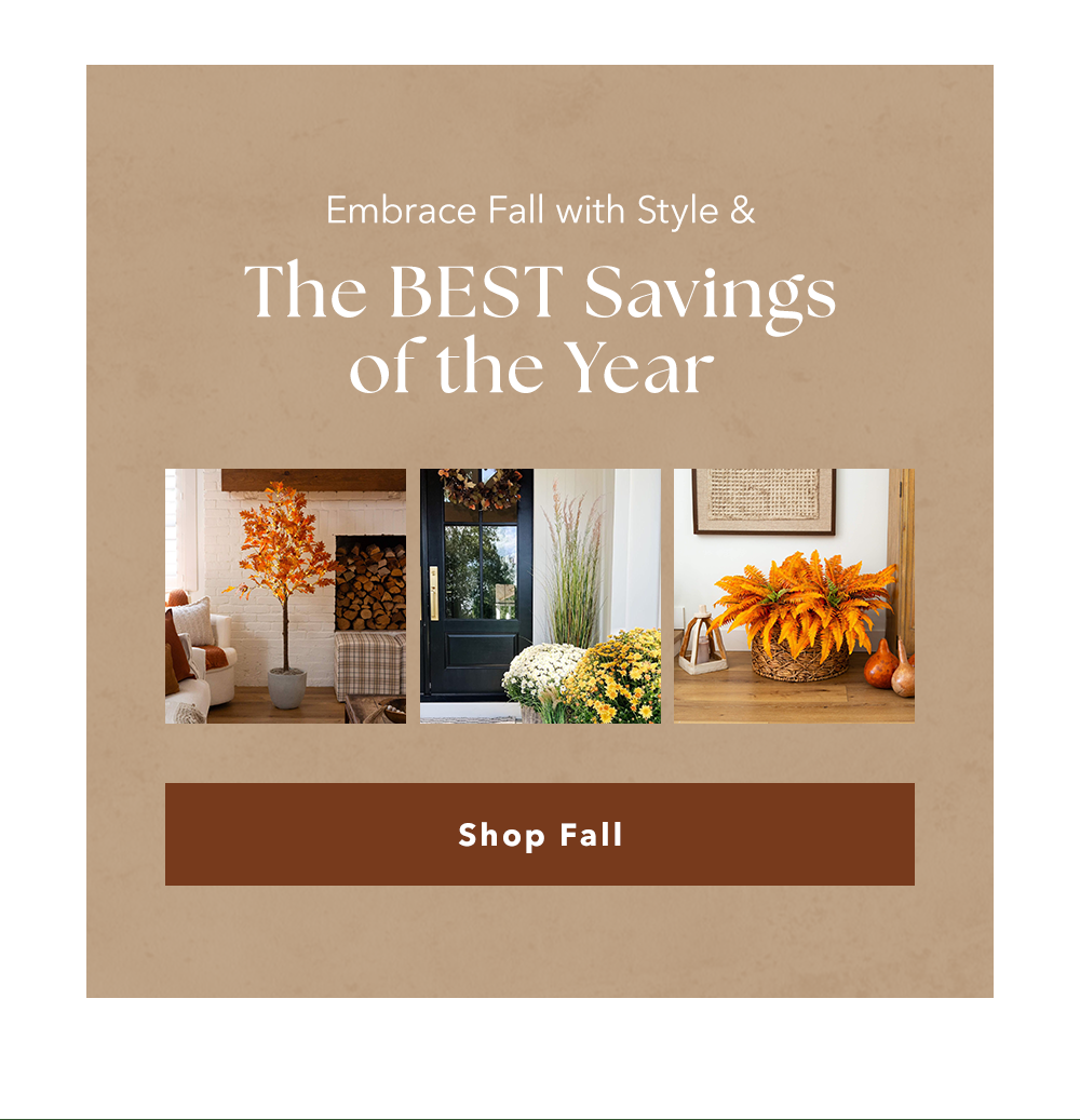 Embrace Fall with Style & The BEST Savings of the Year Embrace Fall with Style & The BEST Savings of the Year