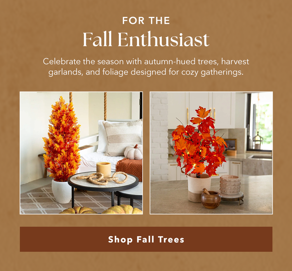 For the Fall Enthusiast