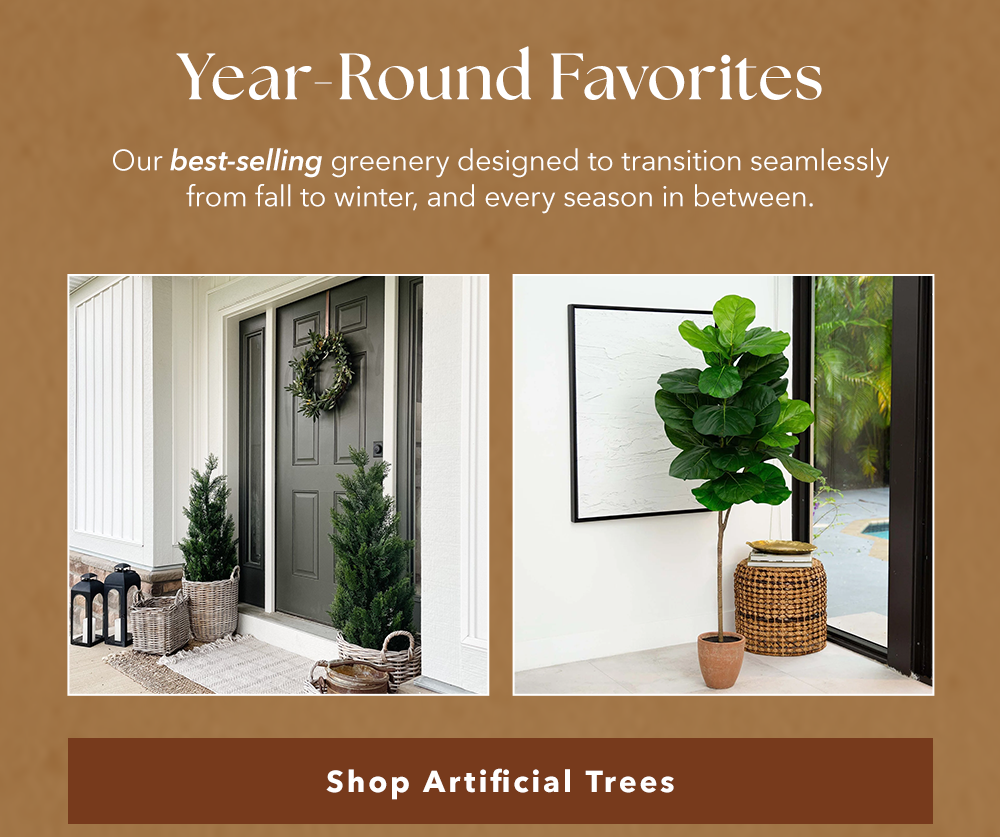 Year-Round Favorites