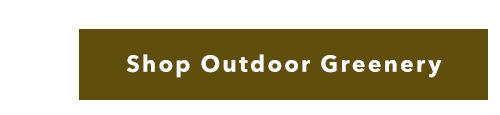 Shop Outdoor Greenery
