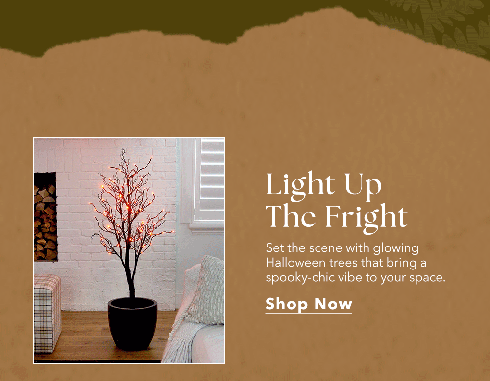 Light Up The Fright