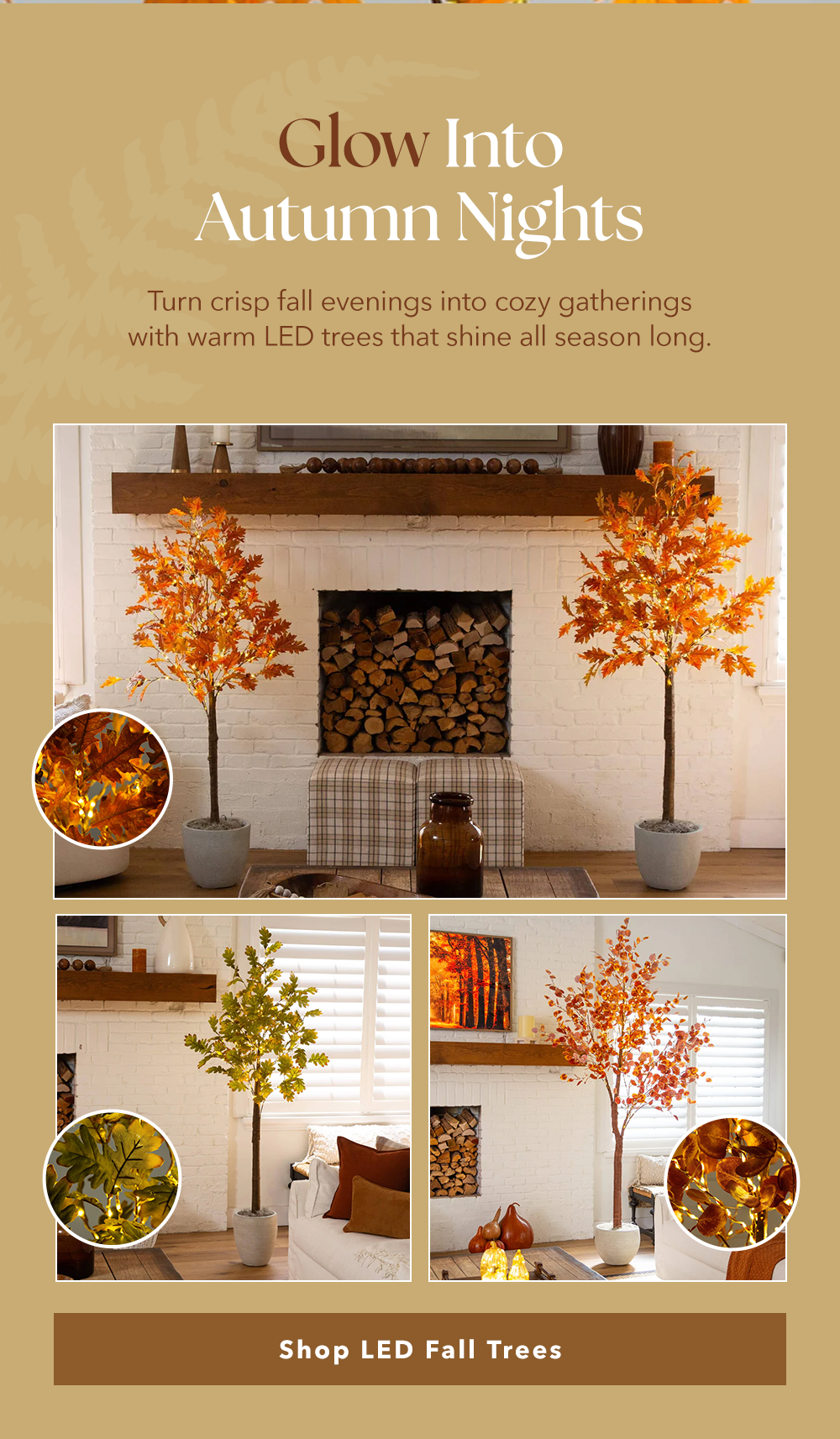 Glow Into Autumn Nights