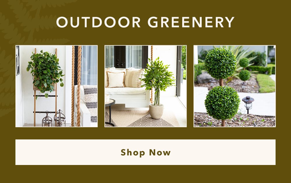 Shop Outdoor Greenery Shop Outdoor Greenery