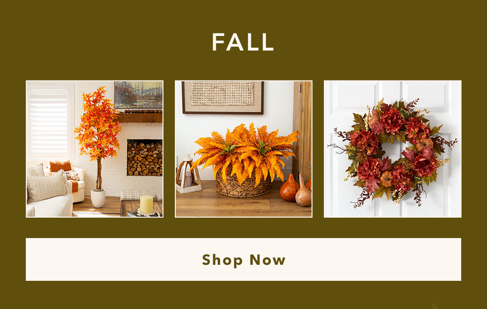Shop Fall Shop Fall