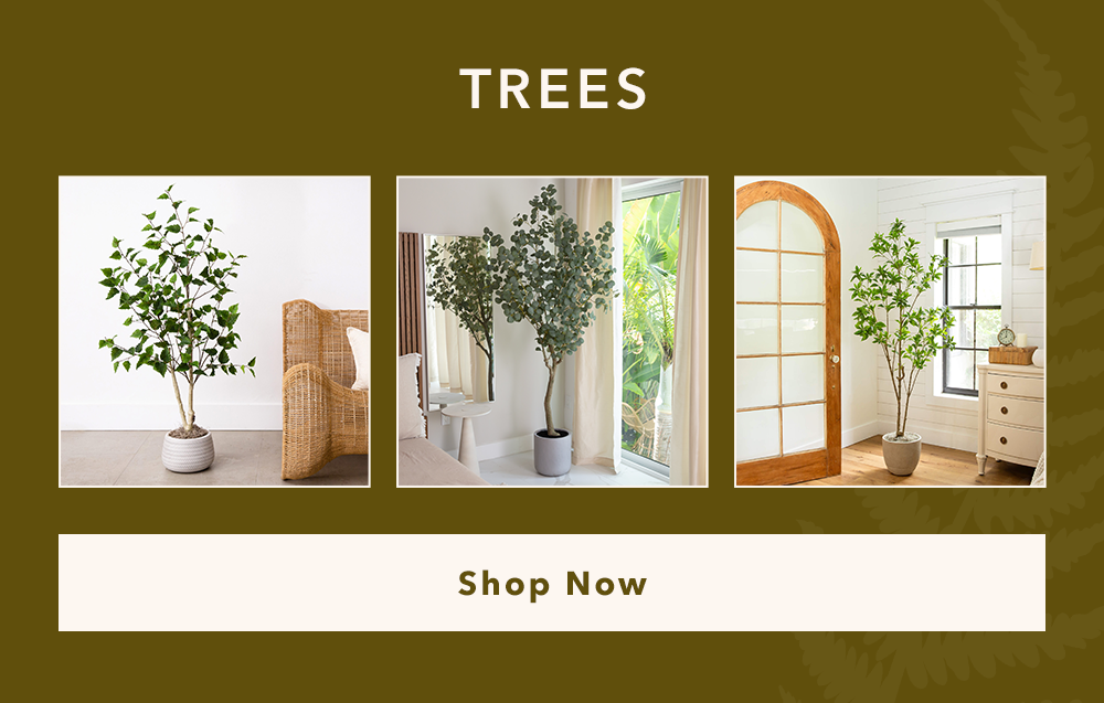 Shop Trees Shop Trees