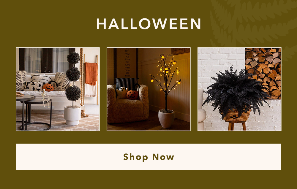 Shop Halloween Shop Halloween