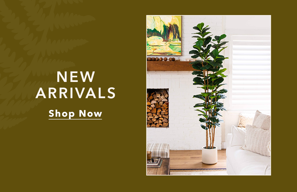 New Arrivals