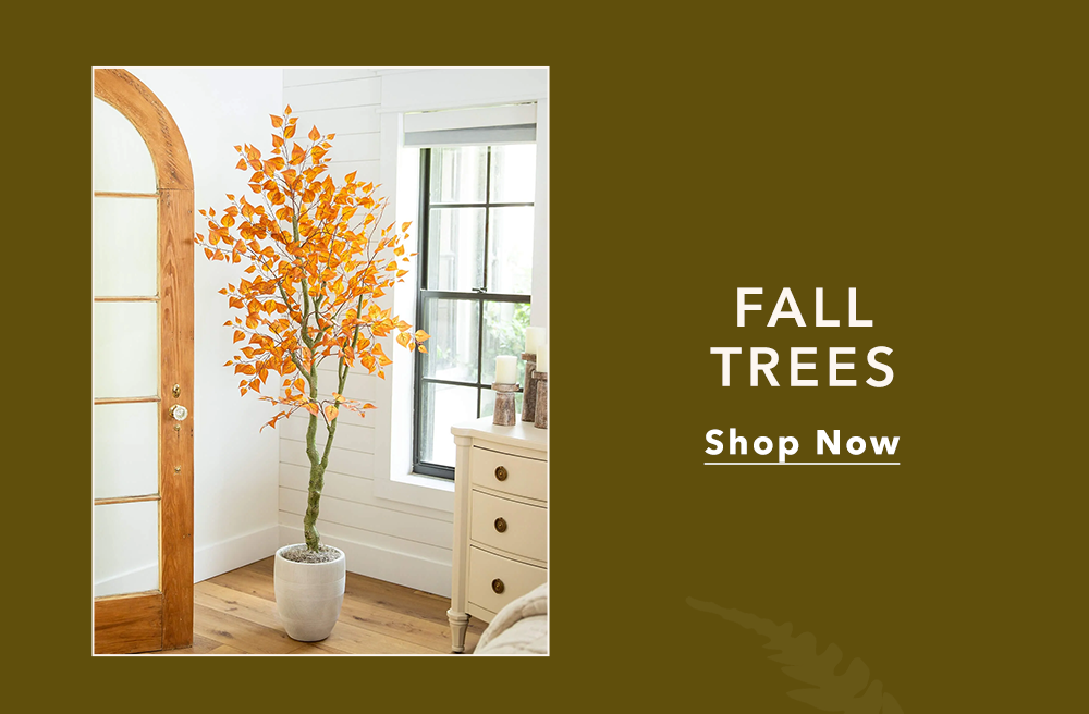 Fall Trees