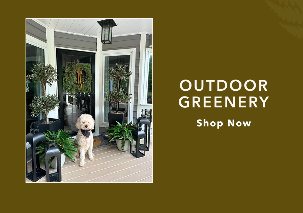 Outdoor Greenery