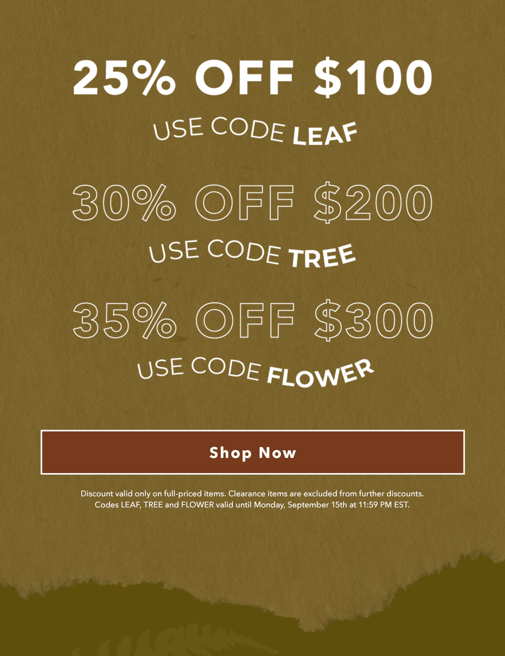 Shop Now