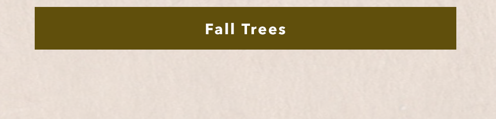 Fall Trees