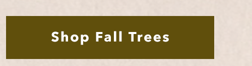 Shop Fall Trees