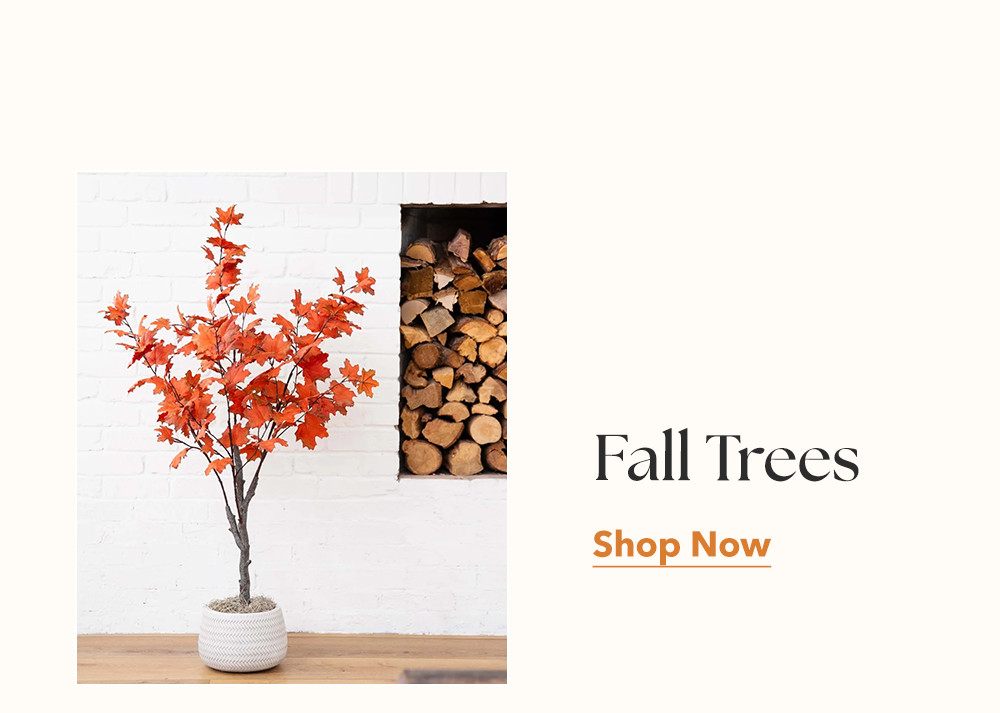 Fall Trees | Shop Now