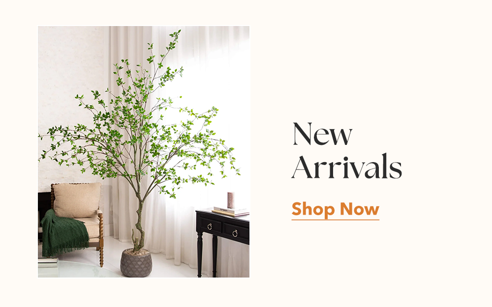 New Arrivals | Shop Now