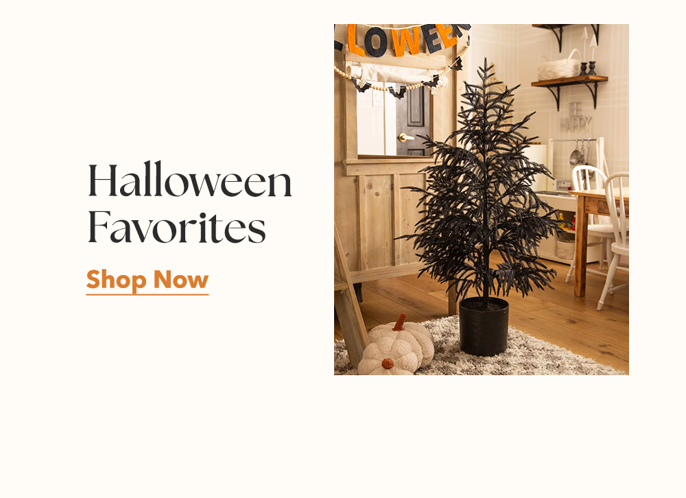 Halloween Favorites | Shop Now