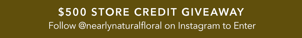 $500 Store Credit Giveaway