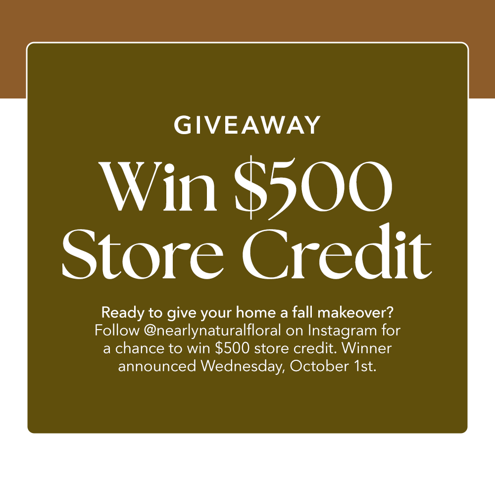 Win $500 Store Credit 