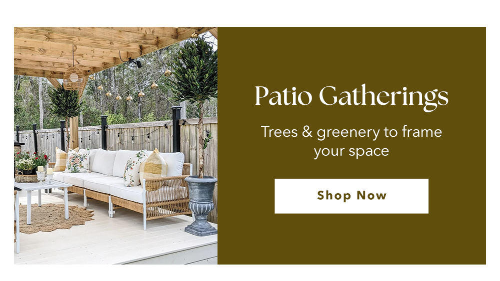 Patio Gatherings