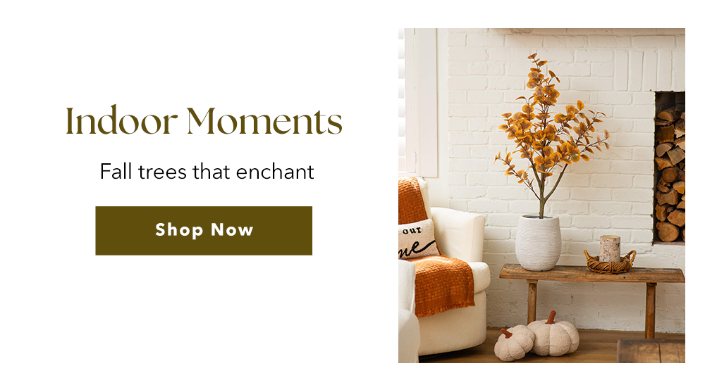 Indoor Moments