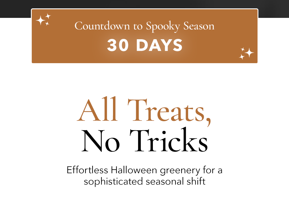 All Treats, No Tricks