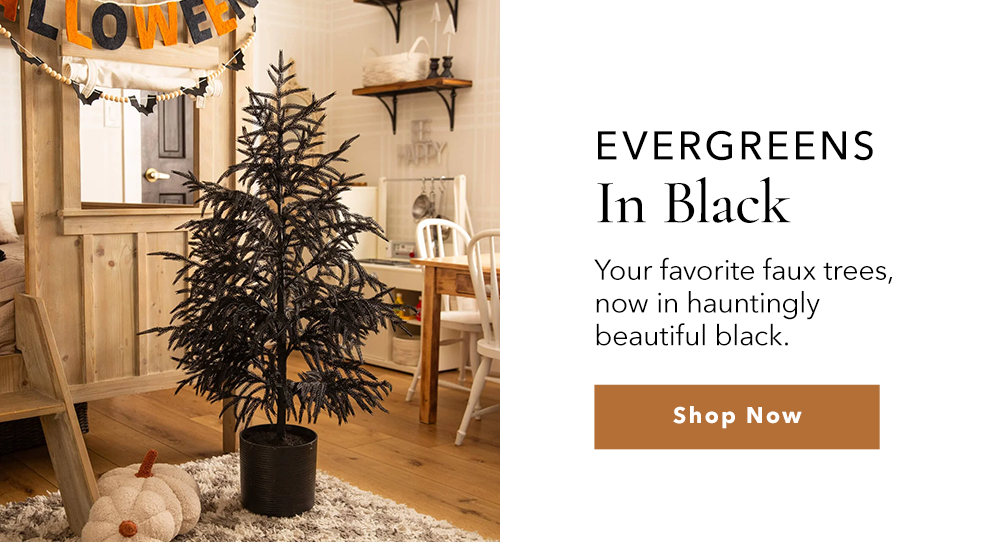 Evergreens In Black 