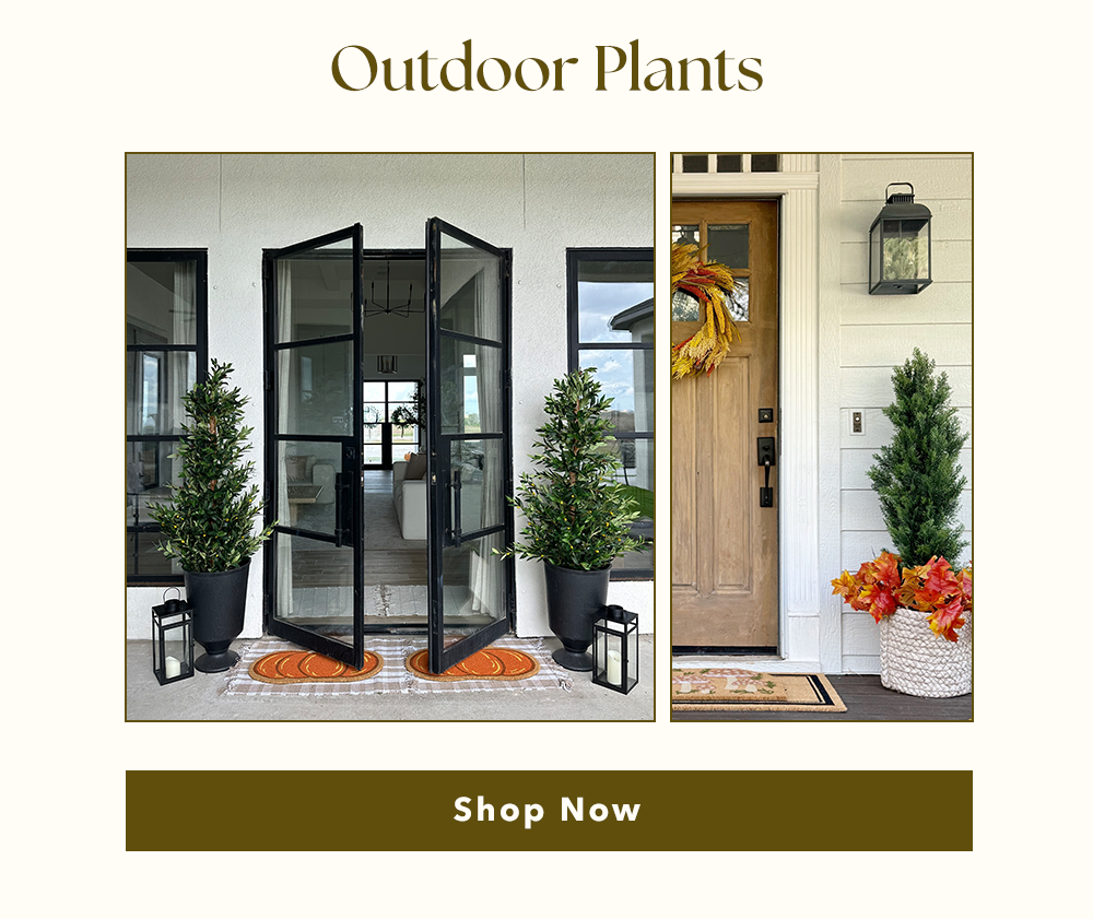 Outdoor Plants | Shop Now Outdoor Plants | Shop Now