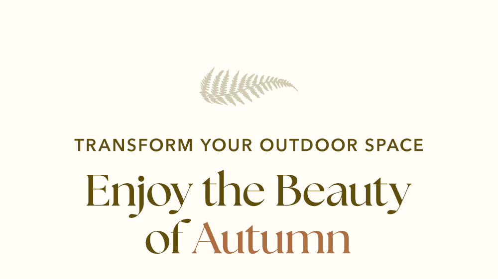 Enjoy The Beauty of Autumn 