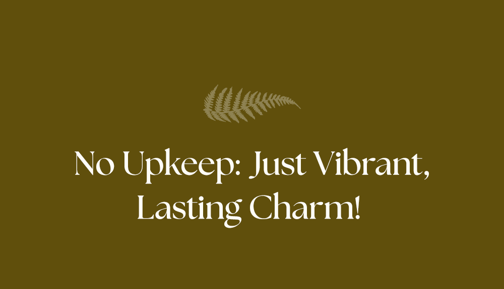 Nop Upkeep: Just Vibrant, Lasting Charm!
