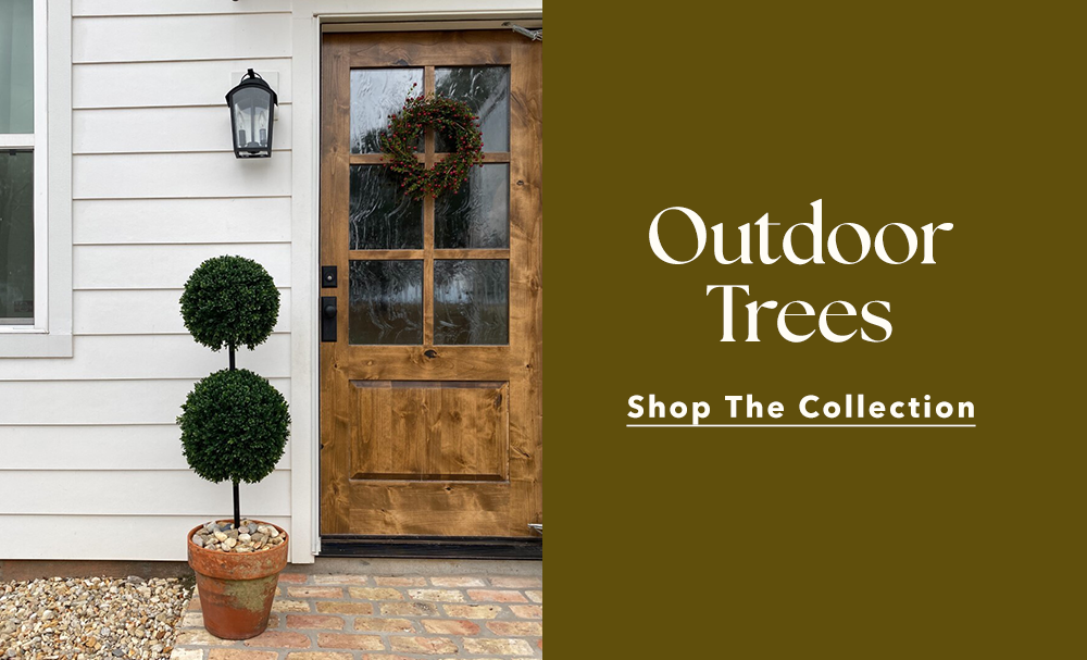 Outdoor Trees | Shop The Collection